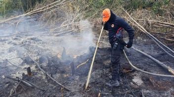 BPBD, 코티움에있는 3 헥타르의 농장에서 화재를 끄는데 6 시간이 걸립니다.