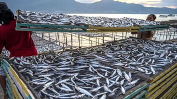 KKP准备满足非虾渔业商品的Cs-137免费证书要求