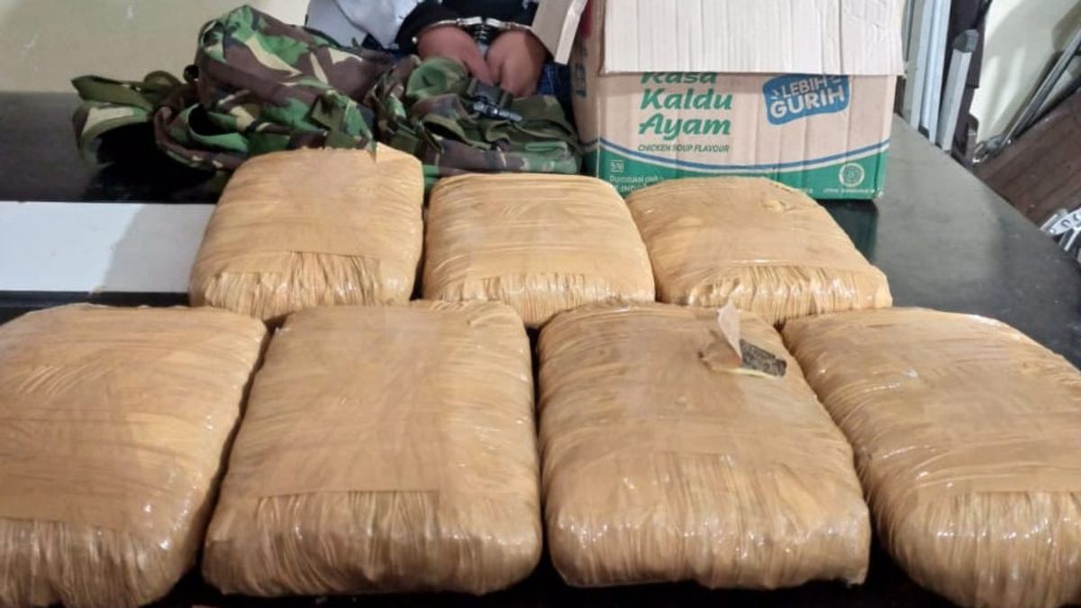 Petani Asal Aceh yang Edarkan Narkoba Ditangkap di Dairi Sumut, Ganja 6,4 Kg Disita