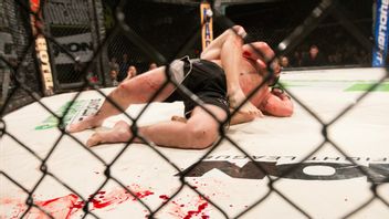 جاكرتا - ألقت الشرطة القبض على ابن جواور UFC الملك جاكسون ، جيجارا كادت تقتل مقاتل MMA ستيوارت سميث؟
