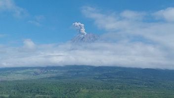 Mount Semeru Eruption, High Eruption Reaches 900 Meters