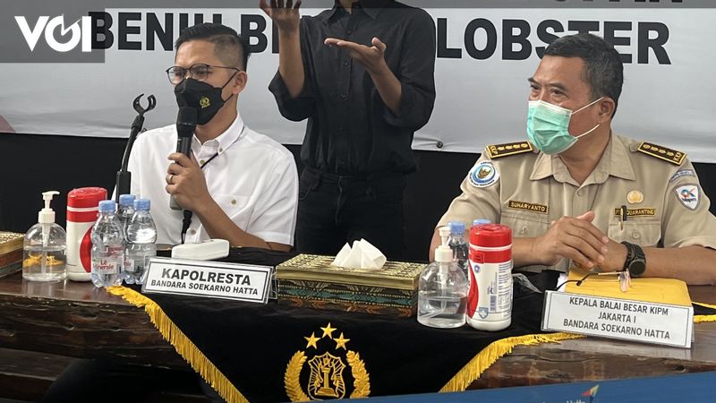 Penyelundupan Benih Lobster Senilai Rp4,1 Miliar Berhasil Digagalkan