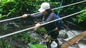 Latihan Fisik dan Gizi Seimbang Jadi Modal Utama Keselamatan saat Naik Gunung