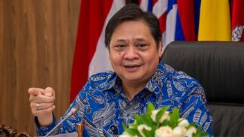 Airlangga: PPKM Outside Java-Bali Extended Until 6 December