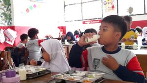 BGN Sebut Kehadiran Susu di Program MBG Berbasis Kajian Ilmiah