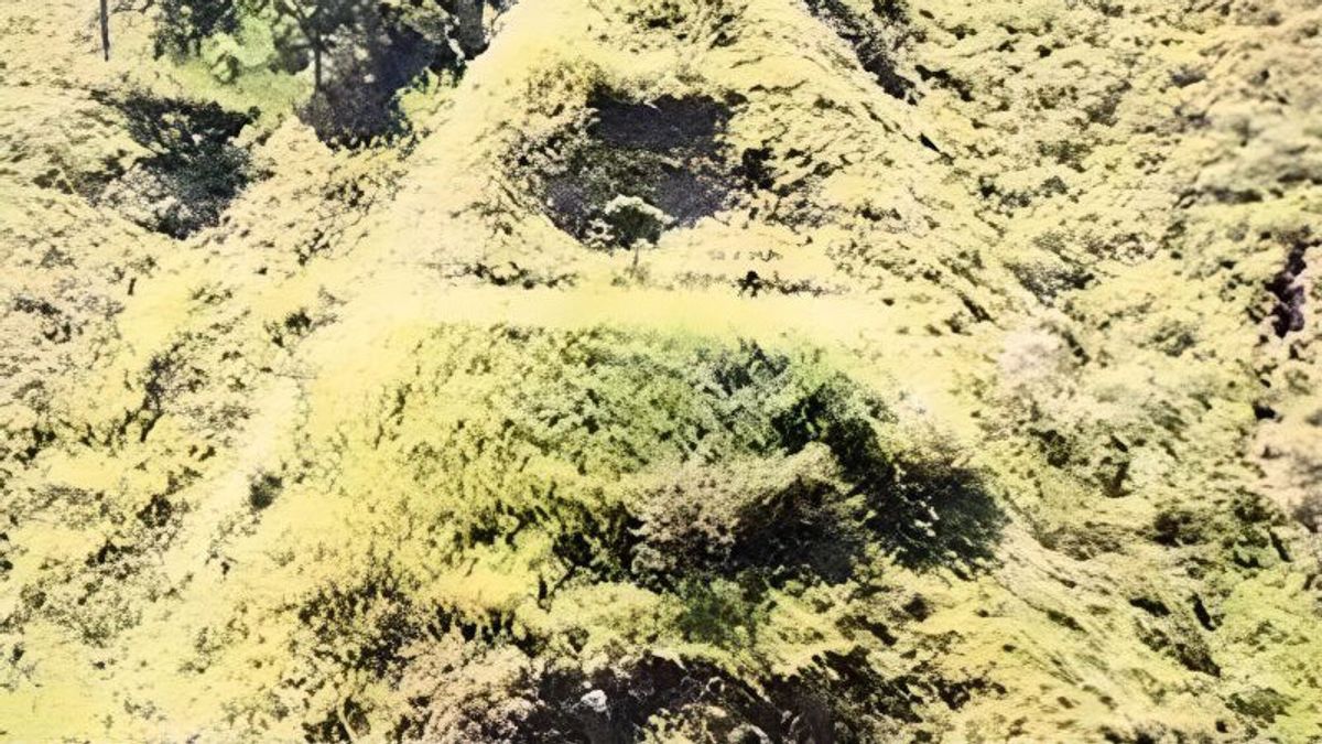 地质局表示,北苏门答腊国王服务中金字塔的发现需要澄清