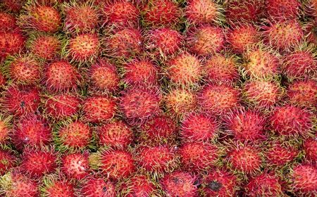 Efek Makan Rambutan Berlebihan dan Manfaatnya jika Dikonsumsi dengan Bijak