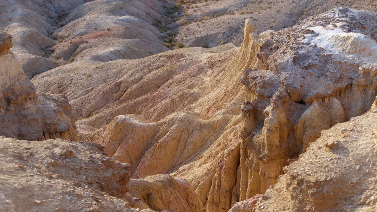 Perminas Umumkan Telah Teken MoU Jajaki Potensi Mineral Tanah Jarang di Republik Gabon