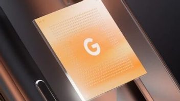 Camera ISP Experts Will Directly Work On The Second Generation Google Tensor Chip
