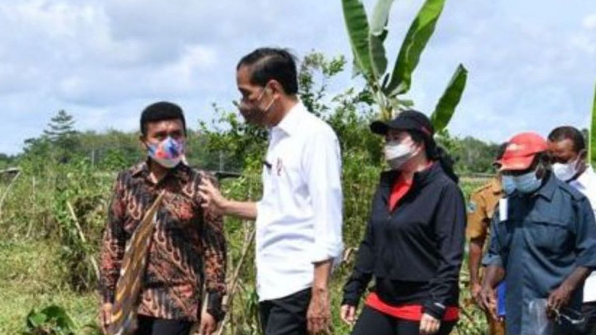 Aksi Spontan Jokowi di Papua yang Tak Terekam Kamera, Rapihkan Dagangan Noken Sampai Dipanggil Pace