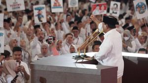 Disindir Pemimpin Harus Stabil Emosionalnya, TKN Prabowo 'Nggak Baper': Yang Awal <i>Ngegas</i> kan Mas Anies