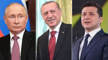 埃尔多安总统提议，土耳其希望普京和泽伦斯基在不久的将来会面