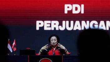 PDIP's Position In The Prabowo-Gibran Government Will Be Determined By Megawati
