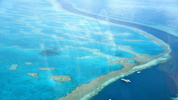 رئيس الوزراء الأسترالي يتعهد بإنفاق 10 تريليون دولار إضافية لحماية الحاجز المرجاني العظيم