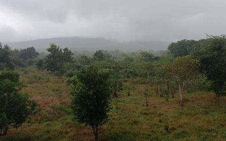 Badan Geologi Ingatkan Warga Waspada Banjir Lahar Gunung Ile Lewotolok