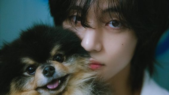 Anjing Kesayangan V BTS, Yeontan Meninggal Dunia