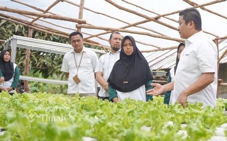 Perkuat Ekonomi Masyarakat, PT Timah Gencarkan Program Pangan Hidroponik Perempuan Sawang Laut