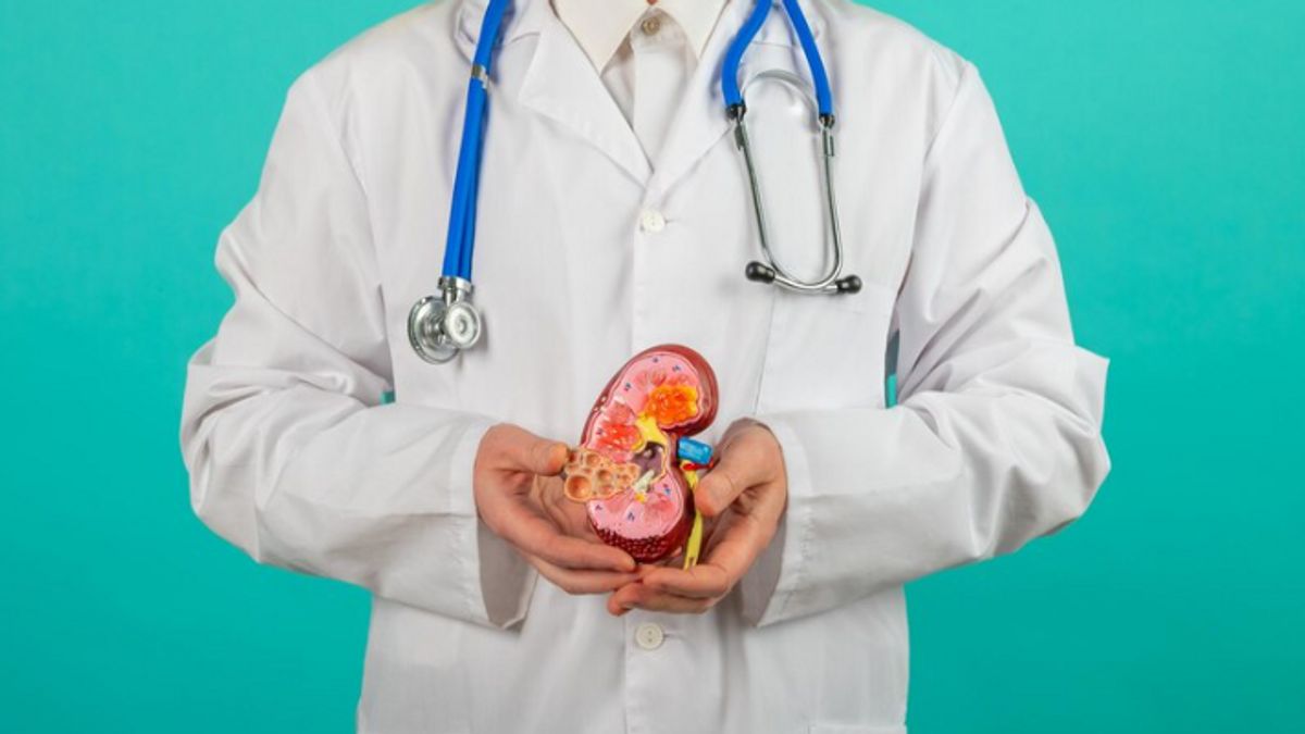 7 Characteristics Of Dirty Kidneys To Watch Out For, Don't Ignore!