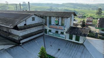 文化日纪念活动,PalmCo揭示了今天仍然活着的印度尼西亚古代种植园的遗产