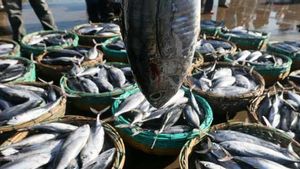 Menko PMK: Ironis di Ambon Masih Ada Stunting, Padahal Hasil Ikannya Banyak