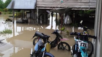 清真寺,穆萨拉和小学在中苏拉威西岛巴西普提村的洪水泛滥