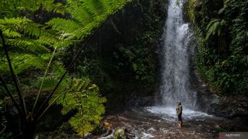 环境和林业部:可持续瀑布防御势头国际瀑布日