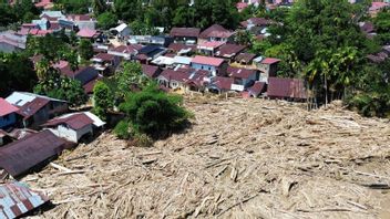 Kemenhut：苏门答腊49.197公顷灾后恢复区的潜力，苏门答腊岛最广