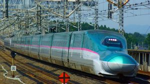 La connexion entre Hayabusa et Komaki, le service Tohoku Shinkansen a été arrêté