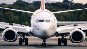 Pilot Makan 'Jamur Ajaib' Mengaku Matikan Mesin Saat Terbangkan Pesawat Berpenumpang 84 Orang