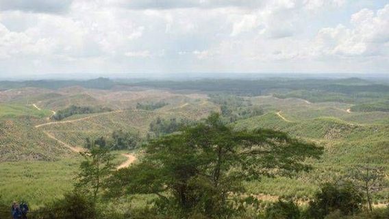 Pembangunan IKN Belum Rampung, Pemerintah Sudah Siapkan Insentif Bagi Anak Muda yang Mau Bekerja atau Buka Usaha di Sana