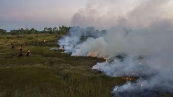 南スマトラ島の森林火災と土地火災は8倍に増加し、パレンバンのISPUは再び増加しました