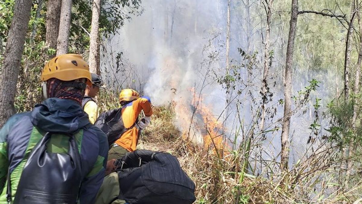 Kebakaran Gunung Panderman Malang Akibat Sambaran Petir Capai 3,5 Hektare
