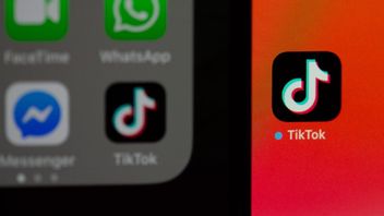 US Parliament Introduces Bill to Ban TikTok from Operation