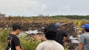 리우아 벵갈리스 경찰은 3 헥타르의 토지 불길에 대한 용의자를 지정했습니다.