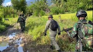 Ruang Gerak DPO Teroris Poso Dipersempit, Jenderal TNI Farid Makruf Yakin Bisa Dilumpuhkan