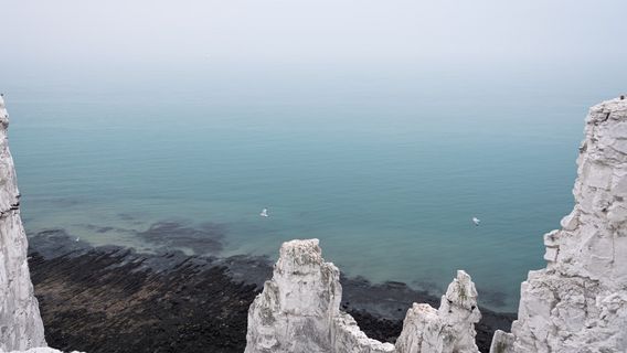 イギリス海峡に侵入しようとして4人の移民が死亡した