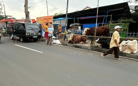 Trotoar Diambil Alih Pedagang Hewan Kurban, Perintah Wali Kota Jakpus Seperti Diabaikan