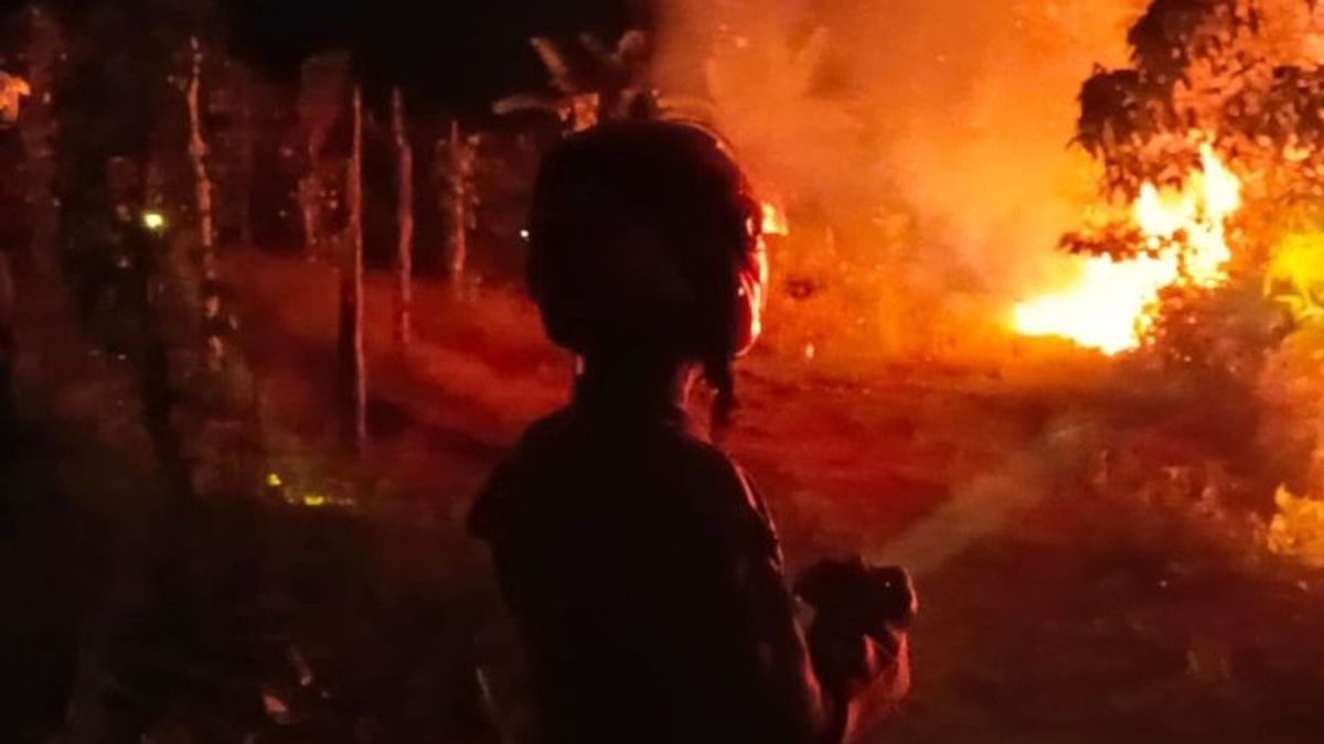 Tak Bisa Kendalikan Api Saat Buka Kebun, 5 Hektare Lahan di Bukit Sinduk Terbakar, Beruntung Bisa Dijinakkan Petugas