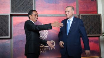 Jokowi Apresiasi Peran Turki Hidupkan Kembali Inisiatif Laut Hitam