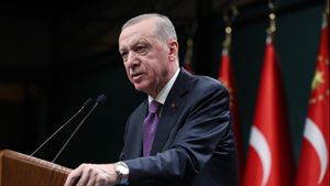 President Erdogan Values US And Europe Don't Do Enough To Pressure Israel Over Ceasefire In Gaza