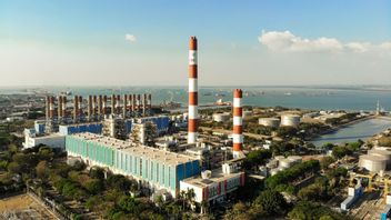Cofiring From Kayu To Sawit Cancang, 33 PLTUs Successfully Result In 394 GWh Of Green Electricity