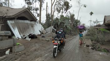 لواء متنقل وتعقب ال نشرها لتمشيط المناطق المتضررة من ثوران جبل سيميرو