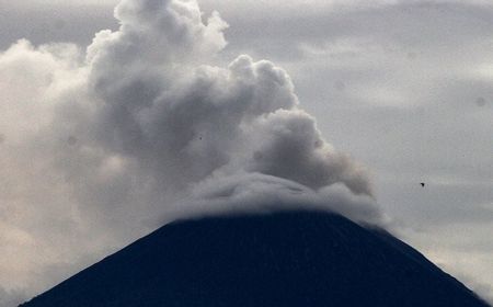 Gunung Semeru Erupsi, Hujan Abu Bikin Kondisi Gelap Gulita di Lumajang