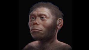 Peneliti  Rekonstruksi Wajah "Hobbit dari Flores" Menggunakan Data dari Manusia dan Simpanse