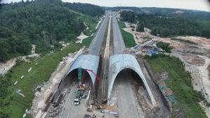 Waskita Karya Bangun Jembatan Satwa di Atas Tol IKN, Nilai Proyeknya Rp2,6 Triliun