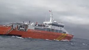 52 Anggota SAR Dikerahkan Cari 30 Orang Korban Tenggelamnya Kapal di Perairan Ketapang-Gilimanuk