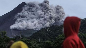 BPPTKG: Pagi Tadi Gunung Merapi 6 Kali Keluarkan Guguran Lava Pijar 