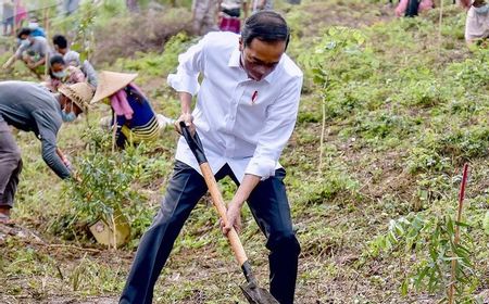 Presiden Jokowi Buka Acara Penanaman Pohon di Kawasan Hutan Gunung Pepe, Lombok Tengah, 13 November 2021