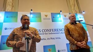 印度尼西亚寻求成为经合组织全会成员,Airlangga:摆脱中等收入陷阱