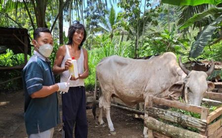 Dinas Peternakan Gunungkidul Ambil Sampel Darah Ternak yang Mati Misterius